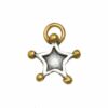 Sophie Harley Star Charm