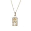 Organic Rectangular White Topaz Necklace