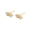 Crystal Leaf Crown Studs