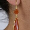 Statement Carnelian Double Drops