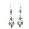 Gemstone 5 Drops Faceted Earrings Labradorite