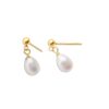 Pearl Waterdrop Studs