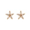 Waterproof Large Crystal Star Studs